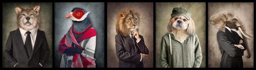 Fotobehang Dieren in kleding. Concept afbeelding in vintage stijl. Wolf, Vogel, Leeuw, Hond, Olifant. © cranach