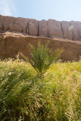 Obraz premium Kal Jenni, Tabas, Khorasan, Iran