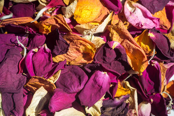 dried flowers petals macro background