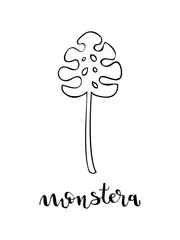 Monstera leaf and lettering. Vector illustration, hand drawn style