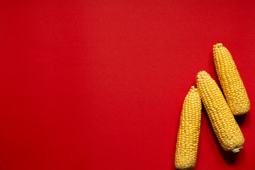 corn healthy vegetarian food red background © natalysavina
