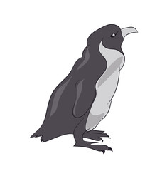 Obraz premium penguin sketch color, vector