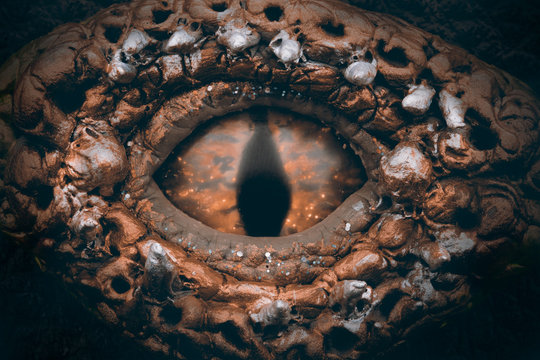 Fototapeta Dragon eye.