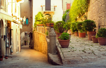 Fototapeta na wymiar San Marino cityscape. Italy landmark.