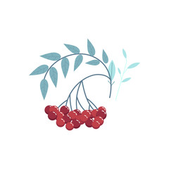Delicious cranberry branch with red berries and leaves. Thanksgiving holiday and autumn harvest seasonal symbol. Tasty natural ingredient for juice, jam design full of vitamins. Vector illustration