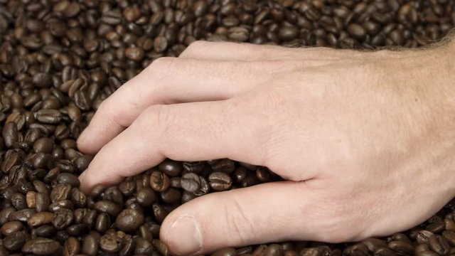 Hand nimmt Kaffeebohnen 4K