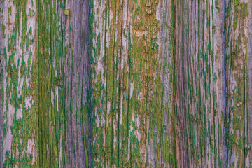 Background. The texture of the old wooden slats of beautiful green color