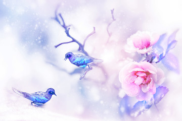 Beautiful pink roses and small purple and blue fantastic birds in the snow and frost. Artistic spring and winter natural image. Selective and soft focus. Christmas pic.