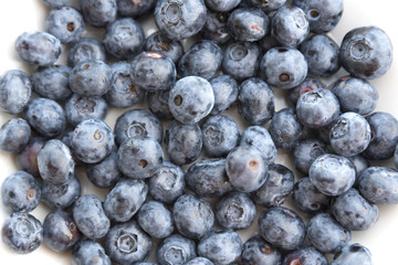 Blueberry berries on white background
