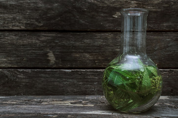 Nettle tincture. Naturopathy. Herbal medicine.