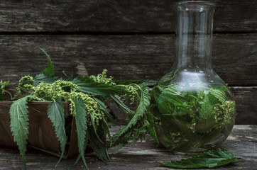 Nettle tincture. Naturopathy. Herbal medicine.