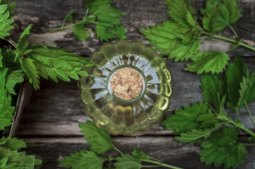 Nettle essential oil. Naturopathy. Herbal medicine.