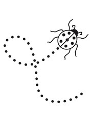 linie gestrichelt pfad weg marienkäfer klein süß niedlich rot punkte schwarz krabbeln frühling