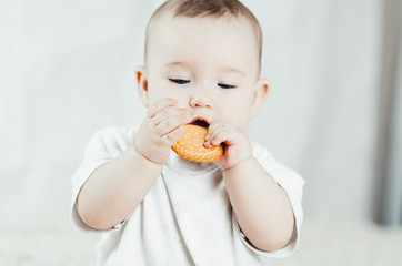 adorable baby eating a cookie
