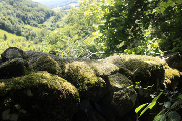 Fototapeta na wymiar Paysages montagnards des Vosges