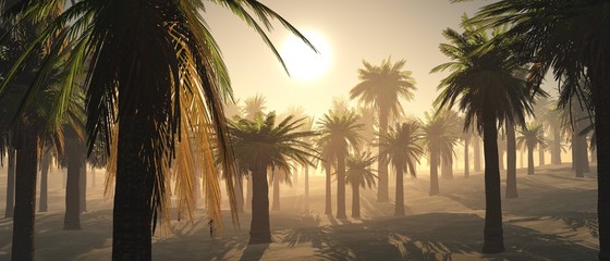 Naklejka premium palms in the morning. Sunrise over a palm grove. Palms in the fog. 3D rendering 