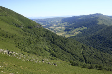 Fototapeta na wymiar Paysages montagnards des Vosges