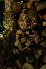 Firewood Pile 