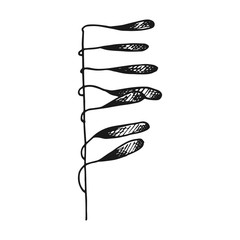 seaweed. vector sketch. isolated on white background