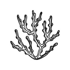 water plants bush. vector sketch. isolated