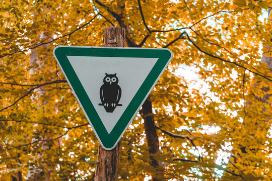 natural reserve traffic sign in an orange forest