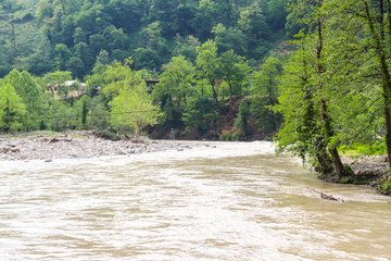 View of the Acharistskali river in Caucasus mountains, Adjara, Georgia
