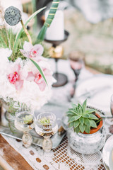 Obraz na płótnie Canvas Rustic table setting with succulents, flowers , decor