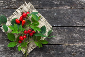 bunch branch Rosehips, types Rosa canina hips, essential oil. Medicinal plants and herbs composition 