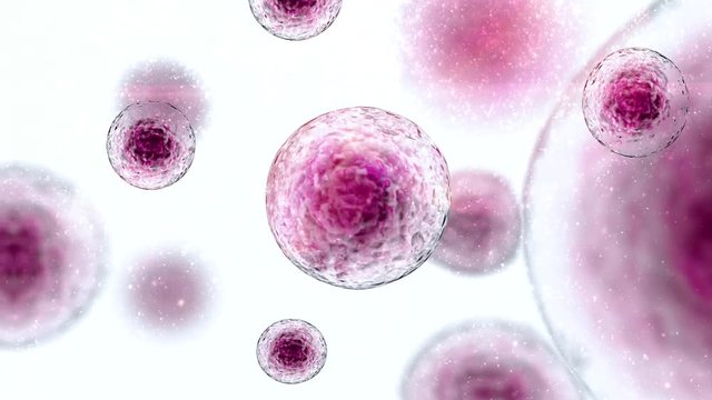 Stem Cells Immunotherapy Stem Cell floating freely 