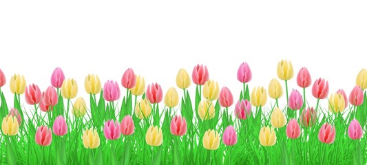 Green meadow grass, tulip flowers border frame, template on isolated background. Spring summer sale template for retail poster and advertising design wtih text space. Vector illustration