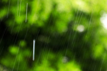 自然の緑ぼかし背景と大雨