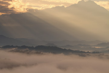 Beautiful landscape of foggy sunrise in Borneo, Asia