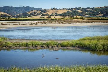Wetlands bird refuge area