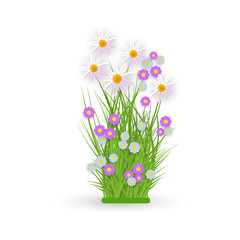 Daisy, chamomile flowers on green meadow grass leaves bush icon. Spring summer object for retail, sale poster and advertising design. Vector isolated illustration
