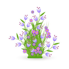 Cornflower and bellflower on green meadow grass leaves bush icon set. Spring summer flower object for retail, sale poster and advertising design. Vector isolated illustration