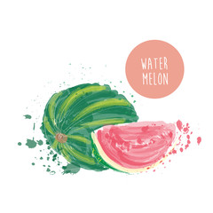 watermelon watercolor illustration. vector hand drawn painting of watermelon. exotic fruit