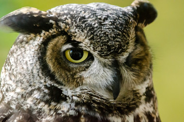 Sleep With One Eye Open