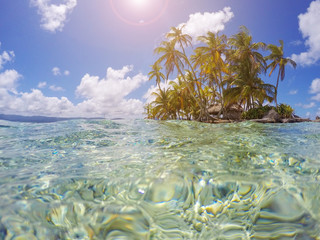 tropical island with palm trees - summer vacation paradise 