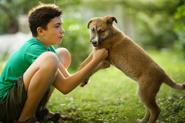 teenager boy hug puppy shepherd dog close up photo