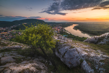 View of Small City of Hainburg an der Donau with Danube River as Seen from Rocky Braunsberg Hill with a Tree at Beautiful Sunset