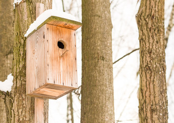 beige wooden small house for starling a birdhouse on background of two trees and the sky