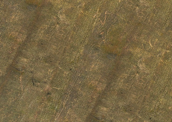 rough surface of old weathered wood with fine lines rustic background basis