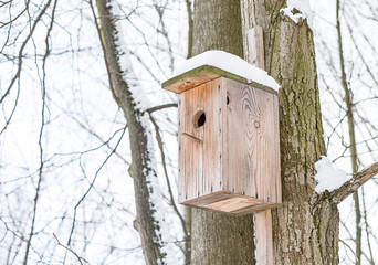wooden birdhouse weathered covered with snow hanging on a tree trunk against the background of a winter sky