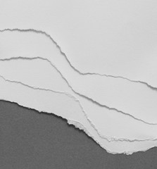 torn paper background