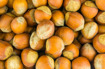 hazelnuts brown whole hazel close-up with a shell close-up background pattern autumn theme base food