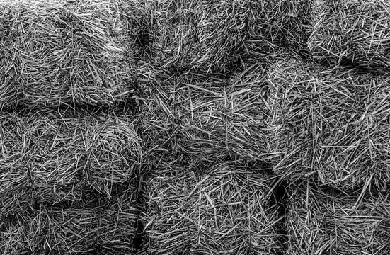 monochrome pattern rustic background gray blocks hay dry grass light billet base eco backdrop