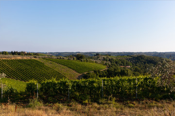 Fototapeta na wymiar Fields in Chianti, a region in tuscany known for is scenic vineyards.
