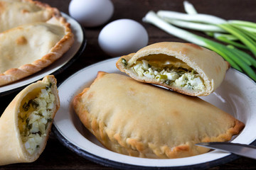 Homemade pies with egg, onion and chicken.