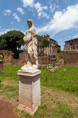 Obraz premium Statue at Palatine Hill, Rome