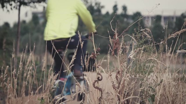 Cyclist rides down a park road